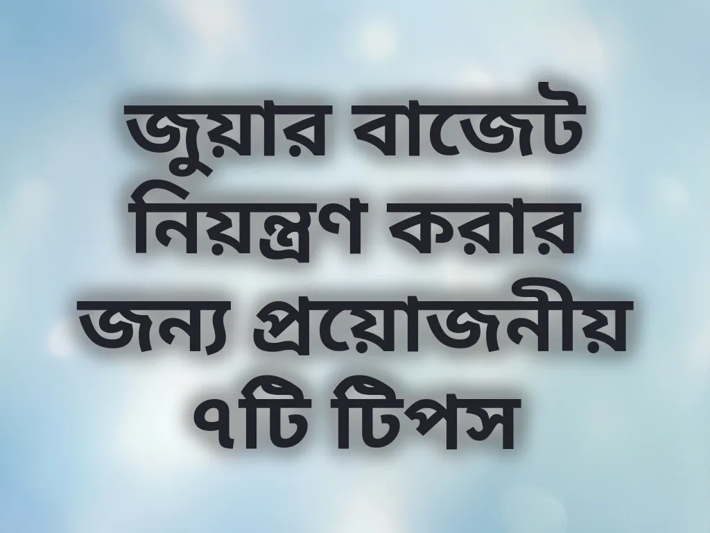 বাজেট গাইড